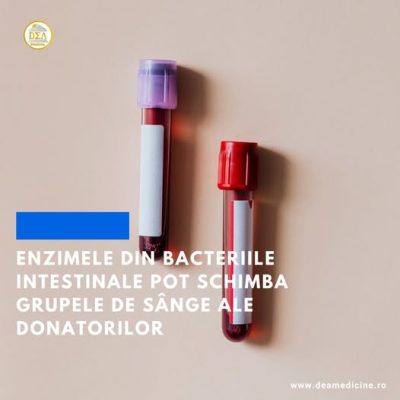 Enzimele descoperite in bacteriile intestinale pot schimba grupele de sange ale donatorilor