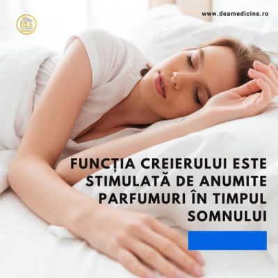 Functia creierului